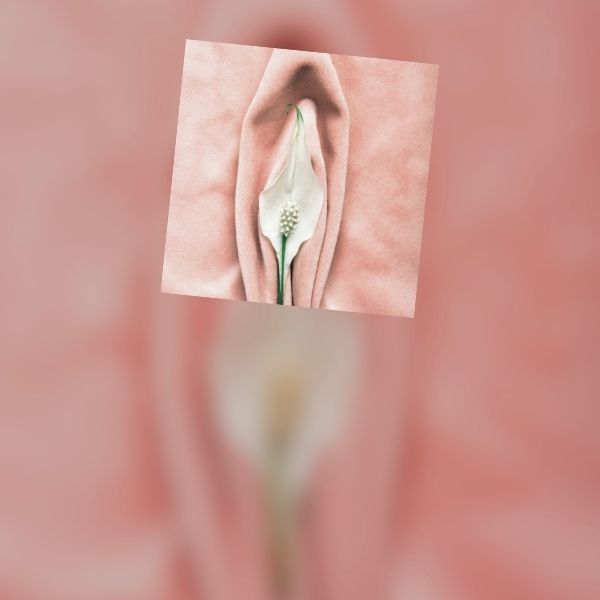 Περινεοπλαστική