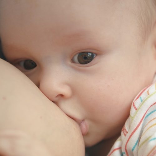 Breastfeeding baby face. Close up of mother breast feeding baby. Sweet motherhood concept. Mother holding newborn son and breastfeeding. Lovely infant eating mother milk SSUCv3H4sIAAAAAAAEAJ1TSY7bMBC8B8gfDJ4tgJu45BtBTkEO3GQzlkVDpDyZDPz30Fps2jP2ALmJ1cVmV3Xp7euX1QpoFb0B31Zv51M++7YdYupV8qHLMFzPuLM+hd6rtgS1Smbbqb3LYDe07Rk+jUUQk0pDdLFojTDpm3wmy3Vlg3YxBbMrUesOIfp02IYU4k2hd2ofkx+fu6CH0Nm6BOJ2SMn17/oevXVBtxmN7+CtP45NCwFGJbfJim8kLG79nM6rpTAW841cAmBdYHHQI7ZAp/V/35w+fl3M27jOvJ5nOxVT9651arJ9nhFwV3OrHK+IVqqiwsFKM0QqBAXDRmoquBlfmVqD3Ut2bz+qnpuOFhUumGCdubNLDdaXnGMwqo13pEPvje82ReuQtq4vziaHL+wLoAtpVDObA2xey/mICBKSZx2cUyQFpRQswcsb9rbc2k3OACaSUQk5Bg8SA34gIjiBhAkOPgxffp3yOr9+7VHGCDBGOGSSVgg3TbacqEpI5iqBhXBaW2JrDT7OJei/uz/1pn5x9Pdh+GtCOoJHf0aWgmsGBbmOsfwNAEEIUZ4RXkrL7wf2fTy6PnR+hwTCmScgePfnbn22o38tXBwObVDW2St0by2qaY0RrAm6BPne25nCREG5lzVzJOFXzqJrqiHE6uJ+uZqFwOWVsChfaoJea7fuzwwOyR1j3uxUxzl0U/l0idCg9z4L/dQdgWX9iTuZIp6qEwTKZ/PlQODnCuXtEx8tAMM8yIMFEEbxI38F52hxp0iVPzsDoJCocVpViBtR0YbhSknSVDV0nBEjVMNJzuLpH15yMC6cBgAA